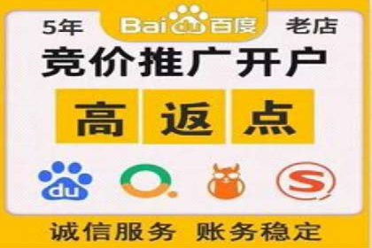 探索百度竞价代理的未来发展趋势与挑战